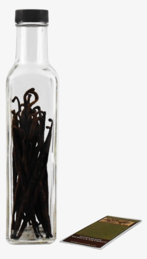 Madagascar Homemade Vanilla Extract Starter Kit - Vanilla Extract