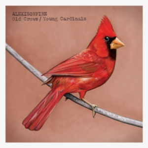 Old Crows / Young Cardinals - Old Crows Young Cardinals