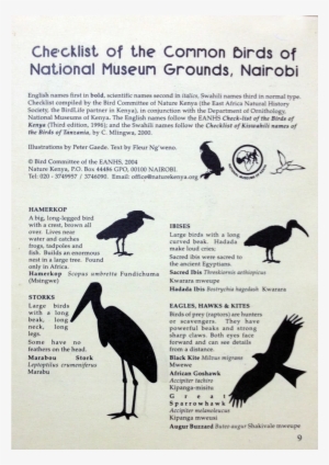 Checklist Of The Common Birds Of Nairobi Museum - Ciconiiformes
