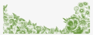 Floral Verde Png - Floral Frame Png Transparent
