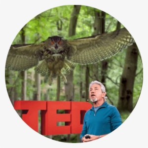 Become A Moving Art Insider - Moving Art By Louie Schwartzberg