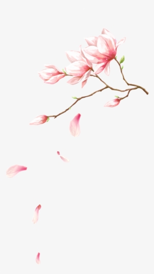 元旦圣诞节素材 双旦png透明底 面抠图@小倍采集 - Petalas Caindo Png