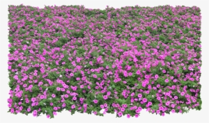 Flower Trees Psd Photoshop File - Thư Viện Hoa Photoshop