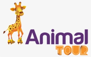 Animal Tour