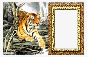 Molduras Para Fotos De Animais