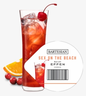 Elizabeth Riccardo The Following Is Placeholder Text - Blandit