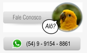 Gramadozoo Com Todas As Atrações - Gramado Zoo