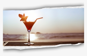 Signature Cocktails - Sun Lounge Vol.1 Cd