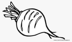 Png Download Beet Drawing Black And White - Beetroot Black And White