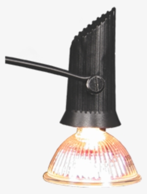 Lumina 6 Power Spot - Light