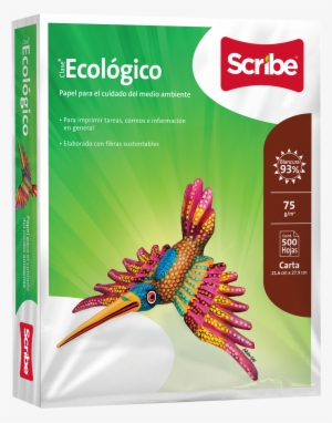 Scribe