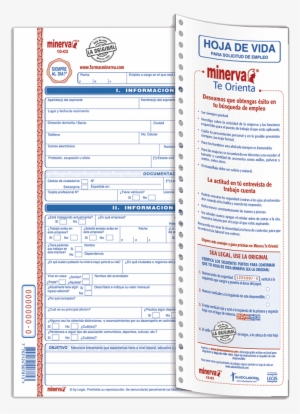 Hoja De - Curriculum Vitae