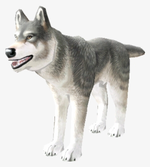 Download Zip Archive - Sakhalin Husky