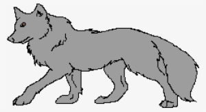 Grey Wolf - Wolf