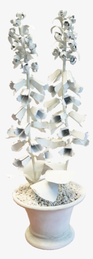 Wht Foxglove - Portable Network Graphics