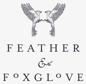 Letter From A Father To His Son