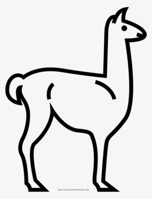 Dibujo De Llama Para Colorear Ultra Coloring Pages - Dibujar Una Llama Facil