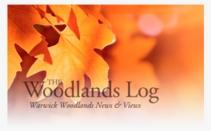 September 10, 2014 - Noname Notebook Skin Bltter, Geeignet Fr Widescreens