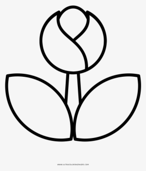 Dibujo De Flor Para Colorear Ultra Coloring Pages Pagina - Drawing