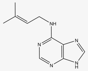 6 Purine (2ip) - Amp Molecule