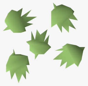 Cactus Seeds Can Only Be Planted In The Cactus Patch - Old School Runescape