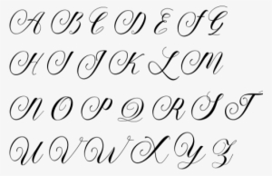 Foxglove Specimen - Calligraphy