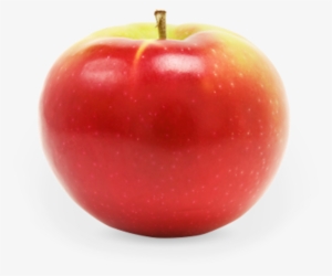 Mcintosh Apples - Apple Types Ontario