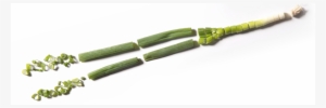 Green-onion - Bud