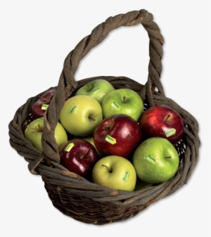 From Italian Apples - Italian Apple