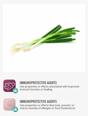 Antioxidants - Leeks Fresh