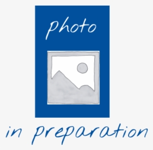 Apricots/apple Slices - Graphic Design