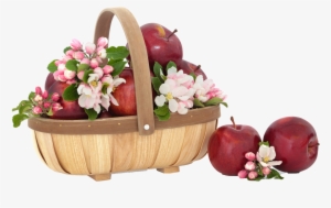 Apple Png Free Commercial Use Image - یا مقلب القلوب والابصار یا مدبر اللیل