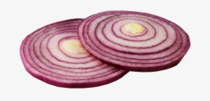 Onion Slice - Red Onion Slices Png