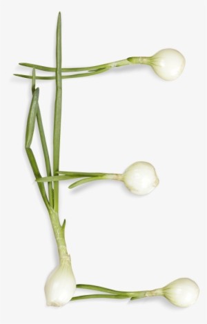 Green Onions Font Letter E - Vegetable