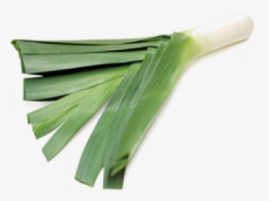 Leeks - Leek Vegetables Png