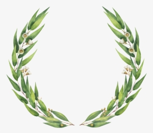 Simple Guirnalda Png De Hoja De Sauce - Eucalyptus Clip Art Free