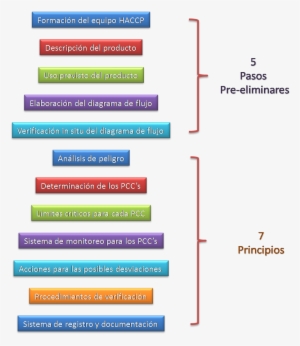 El Proceso De Implantación Deberá Seguir Las Diferentes - Pasos Y Principios Del Haccp