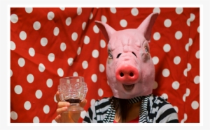 She Brings Warmth And Sunshine To Our Artists, But - Domestic Pig