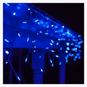 Blue Led Icicle Lights - Wintergreen Lighting 70 Light Icicle Led Light; Blue
