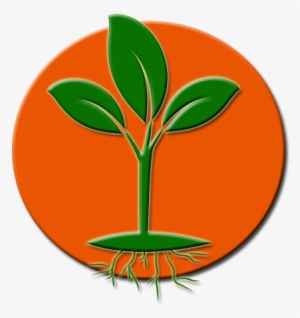 Growth Enhancers In The Root Zone - Neoplasm