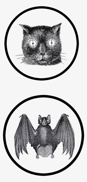 Slightly Coastal Halloween Printable Page - 3drose Print Of Funny Cat Face Drawing Steampunk Style