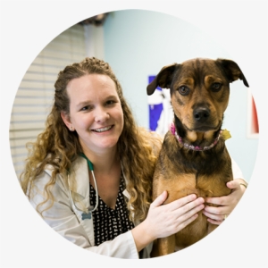 Pauline Clayton, Dvm - Memphis Animal Clinic