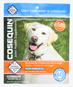 Cosequin Max Strength