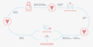 Alternatively, You Can Also Purchase Grapevine World - Diagram