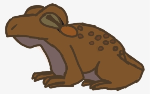 Toad Knows - Illustration