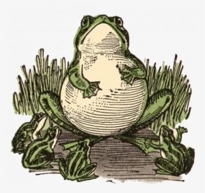 « - Vintage Frog Illustration