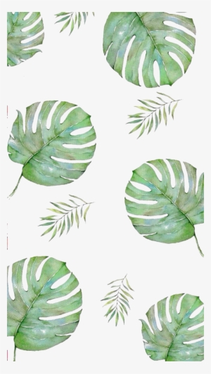 F2u Plant Custom Box By Umieart-dbfft85 - Летние Обои На Айфон