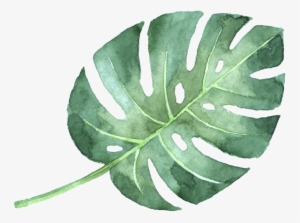 All Content © Copyright Sandalsatthebeach - Watercolor Painting