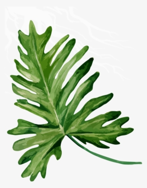 Passion - Bandinist Floppy Bow Headband-tropical Mix