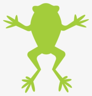 Green Tree Frog Vector